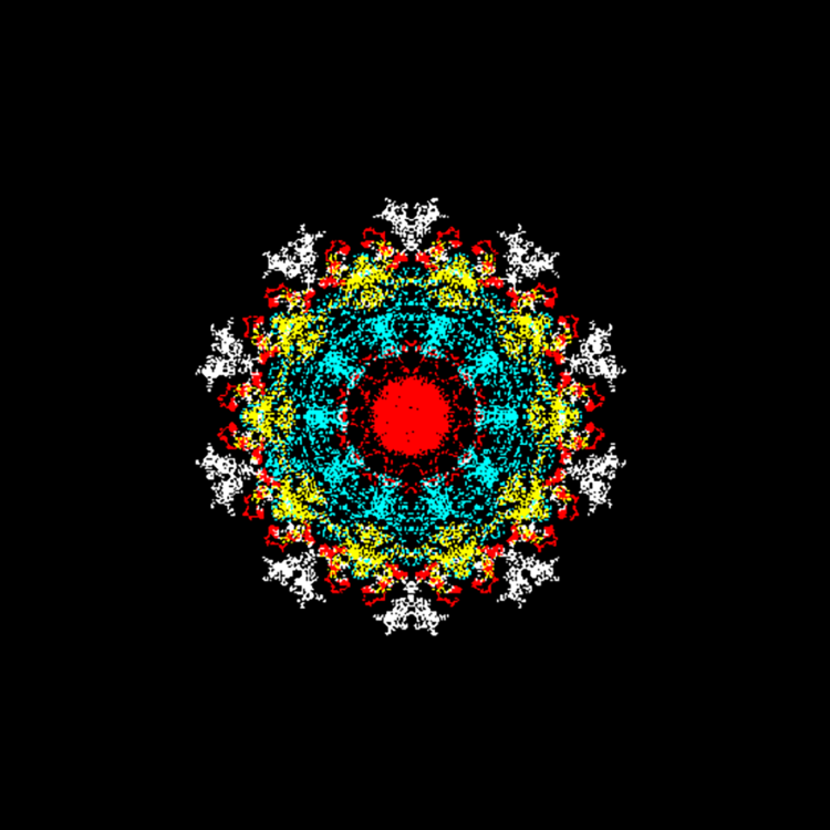 A white, red, yellow, blue, and black design of lacy concentric circles on a black background.