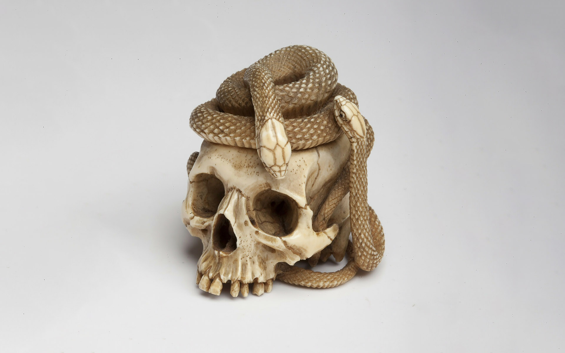 A carved skull with a snake snaking around it.