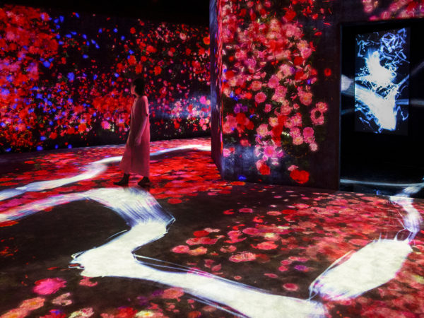 A visitor enjoys the galleries of teamLab: Continuity